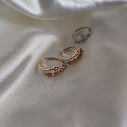 Twisted rings